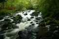 River plym on dartmoor national park devon