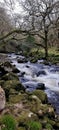 River Plym on Dartmoor National Park running down towards plymouth Devon UK Royalty Free Stock Photo