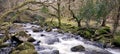 River Plym on Dartmoor National Park running down towards plymouth Devon UK Royalty Free Stock Photo