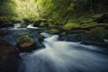 River Plym at Shaugh Prior Royalty Free Stock Photo