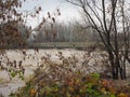 River Po flood in Turin Royalty Free Stock Photo