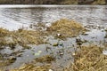 River polluted with garbage and waste Royalty Free Stock Photo