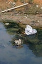 River pollution Royalty Free Stock Photo