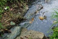 River pollution Royalty Free Stock Photo