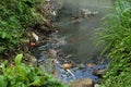 River pollution Royalty Free Stock Photo