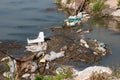 River pollution from Plastic