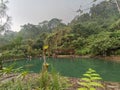 River pond lake jungle waterway nature