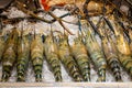 River prawns on sale on market in Thailand