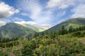 The river Prut Pruth, or Prout originates on the slope of Mount Hoverla, in the Carpathian Mountains in Ukraine