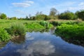 River Purwell in Purwell Meadows, Hitchin