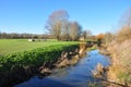 River Purwell beside Walsworth Common, Hitchin