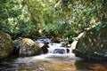 River, rainforest and rocks on landscape with sunshine, growth and sustainability in summer with trees. Water, leaves Royalty Free Stock Photo