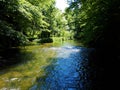 River Rak in brownish color in Rakov Skocjan in Slovenia with reed in the back