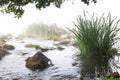 River with rapids in the early morning fog Royalty Free Stock Photo