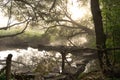 River with rapids in the fog in the forest in the morning at dawn Royalty Free Stock Photo