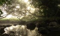 River with rapids in the fog in the forest in the morning at dawn Royalty Free Stock Photo