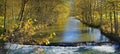 River with rapids, golden autumnal landscape
