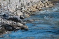 River rapids mountain gully canyon rushing water rocks shoreline hiking trail