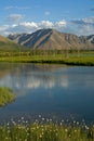 River reach in a broad mountain valley. Royalty Free Stock Photo