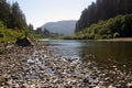 River Redwood NP