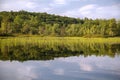 River with reeds and reflection Royalty Free Stock Photo