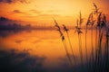 River Reeds Sunset Scenery Royalty Free Stock Photo