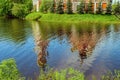 River reflection of the Resurection Cathedral, an orthodox church in Staraya Russa, Novgorod District, Russia.