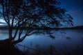 River reflection with tree  at night time Royalty Free Stock Photo