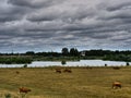 The river rhine in germany near wesel