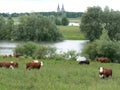 At the river rhine near Wesel