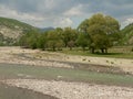 River in the Rhodope Mountains, Bulgaria