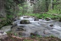 River in the Rila mountains, Bulgaria