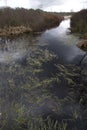 River with riparian vegetation in Ruinen