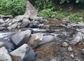 River rock nature in jungle Royalty Free Stock Photo