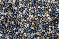 River Rock Royalty Free Stock Photo