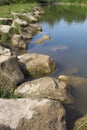 River rock stone water grass forest nature Royalty Free Stock Photo