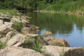 River rock stone water grass forest nature Royalty Free Stock Photo