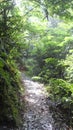 the path to the waterfall on the salak mountain Royalty Free Stock Photo