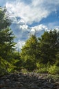 River rocks along the side of a river. Royalty Free Stock Photo