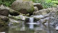 River between rocks in a green forest