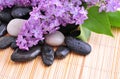 River rocks with lilac flower Royalty Free Stock Photo