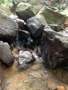 river with rocks that should not be polluted by garbage