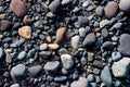 River rocks on a silty muddy bank Royalty Free Stock Photo