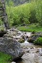 River, rocks and spring in Cerna Mountains, Romania Royalty Free Stock Photo