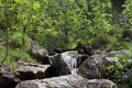 River, rocks and spring in Cerna Mountains, Romania Royalty Free Stock Photo