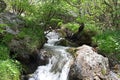 River, rocks and spring in Cerna Mountains, Romania Royalty Free Stock Photo
