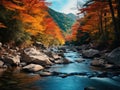 a river with rocks and trees in the background