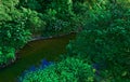 River with a rocky channel and green vegetation