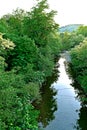 River with a rocky channel and green vegetation