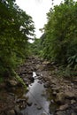 River at Dark View Falls, St. Vincent and the Grenadines